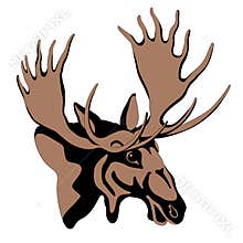 Adult moose head color