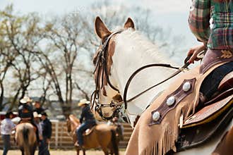 In the saddle horse on Western race, beautiful paint horse in a barrel racing event at a rodeo.