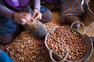 Argan oil factory in Morocco