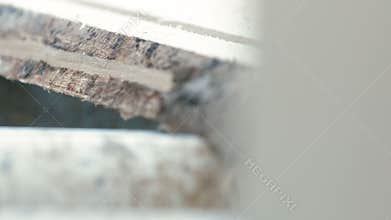 Cutting wood in a sawmill