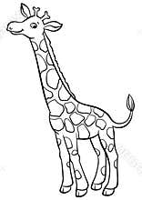 Coloring pages. Animals. Little cute giraffe.