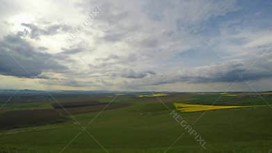 Rural scene with field