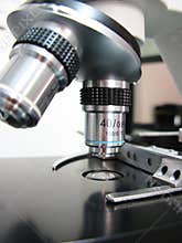 Microscope closeup