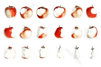 Apple eating animation