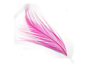 Pink feather