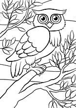 Coloring pages. Birds. Cute owl.