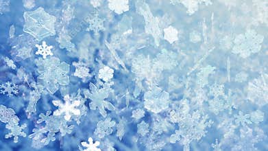 Christmas snowflakes falling - Snowflakes 100 HD