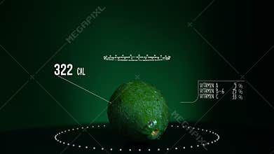 Infographic of Avocado with vitamins, microelements minerals. Energy, calorie and component