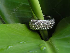 Exotic luxury