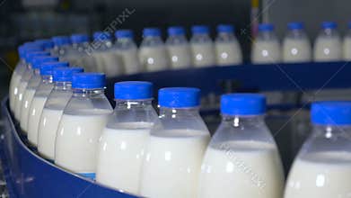 Fresh dairy products, bottles moving on a conveyor. Milk products plant.