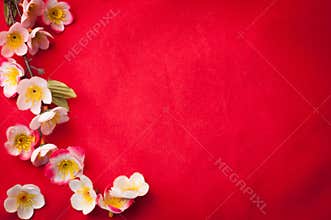 Celebrate Chinese New Year background with beautiful blossom fr