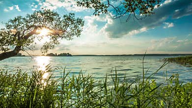 Coast of evening lake