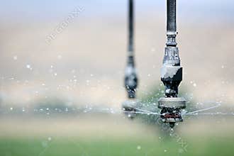 Irrigation close up