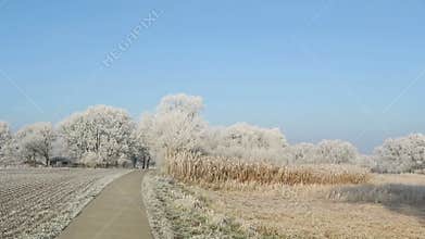 Rime frost landscape at Havel river Brandenburg - Germany. Along Havel bike path Havelradweg in Havelland region.