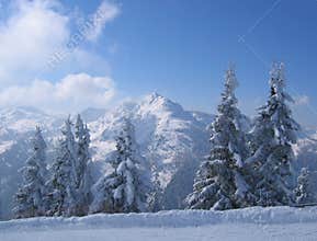 Austria / Winter scene