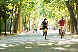 Biking in the Vondelpark in Amsterdam