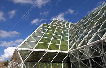 Biosphere 2 - Biome `Rainforest`