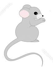 Rat / mouse