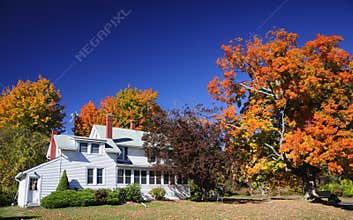 Colonial Farm house new england fall foliage