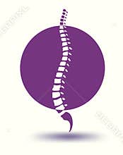 Human spine backbone in violet circle