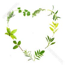 Herb Leaf Heart