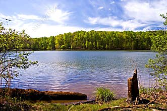 Spring at the Lake